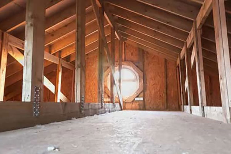Shop Vacuum Insulation Removal for Your Attic